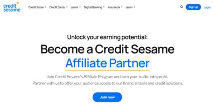 Discover The Secrets To Maximizing Your Credit Card Affiliate Program Earnings